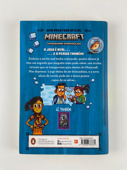 MINECRAFT 1 Dentro do Jogo