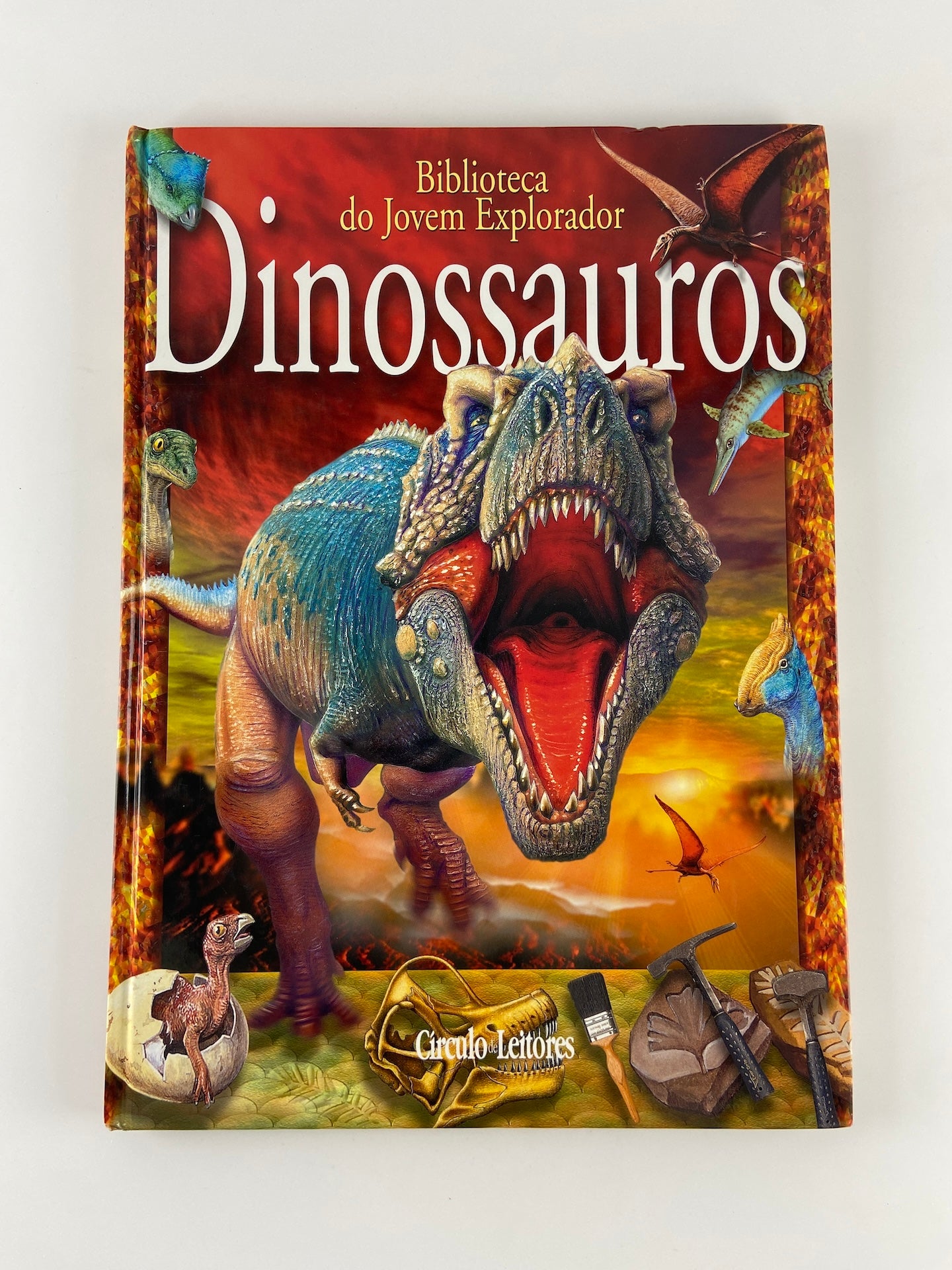 Dinossauros de Paul Willis