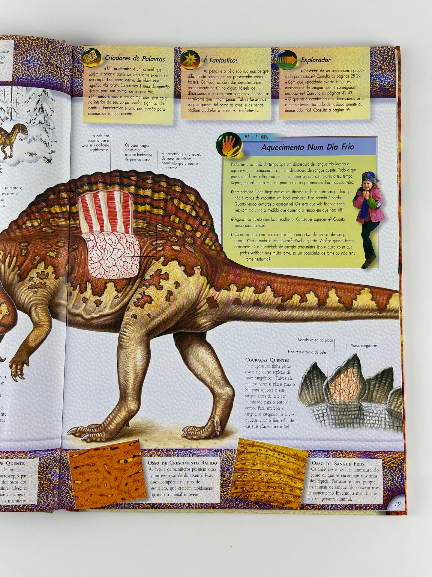 Dinossauros de Paul Willis