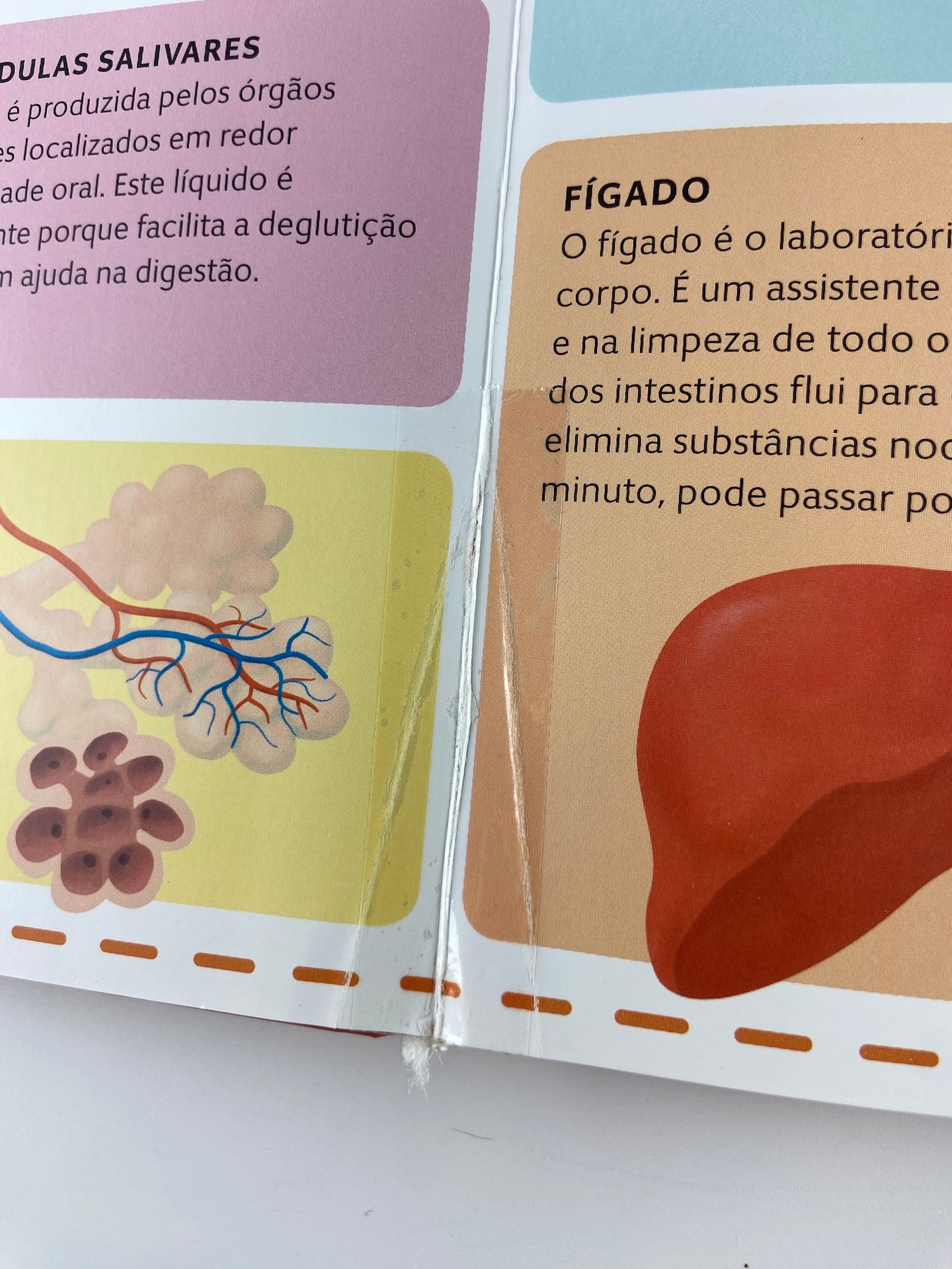 Atlas do Corpo Humano de Oldrich Ruzicka