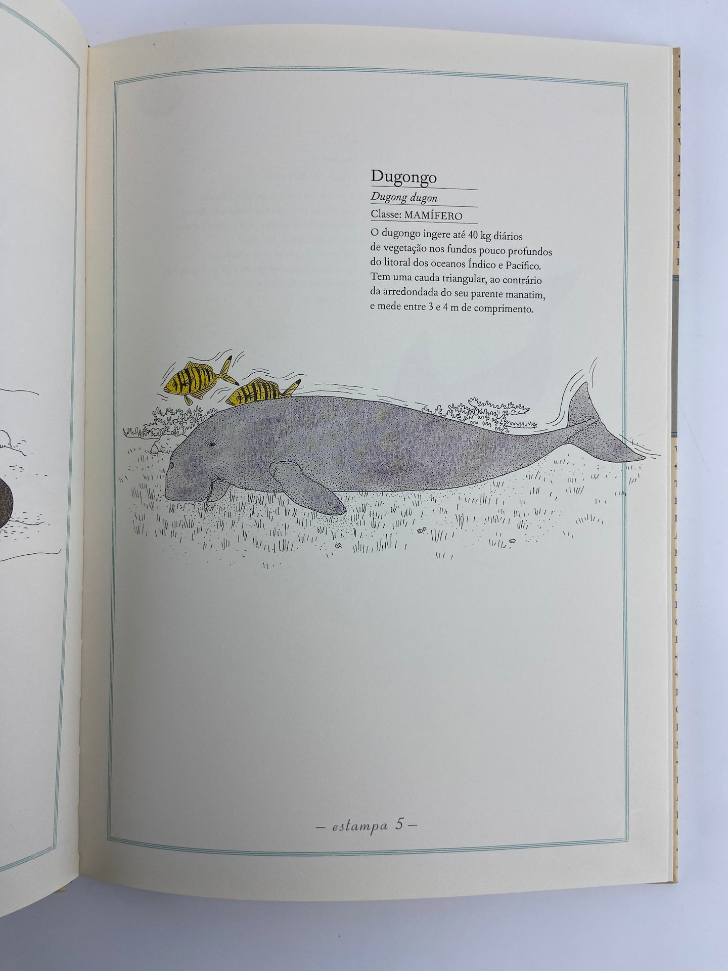 Inventário dos Mares de Virginie Aladjidi