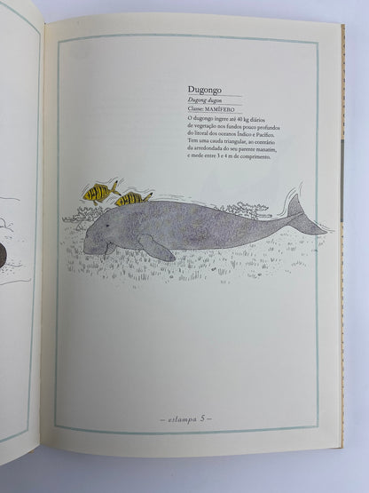 Inventário dos Mares de Virginie Aladjidi