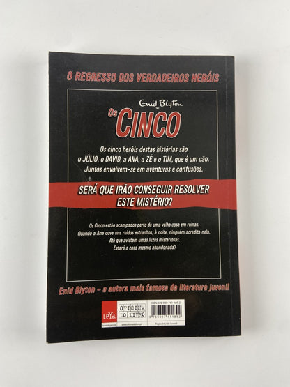 Os Cinco Na Casa em Ruínas