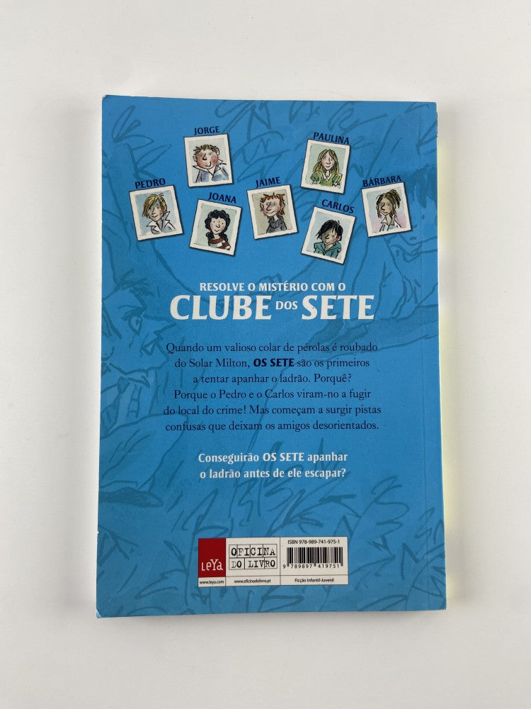 Os Sete Uma Aventura dos Sete