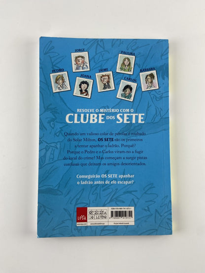 Os Sete Uma Aventura dos Sete